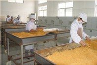 精選肉松批發 黃金松、原味、辣味、雞肉松一站式供應，量大優惠包郵