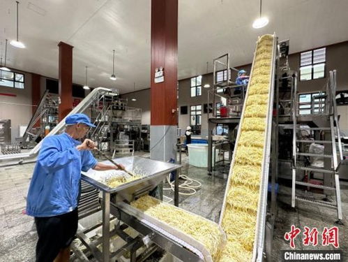 小竹筍闖出大世界 江西樂安做優做強竹筍產業，鋪就鄉村致富路